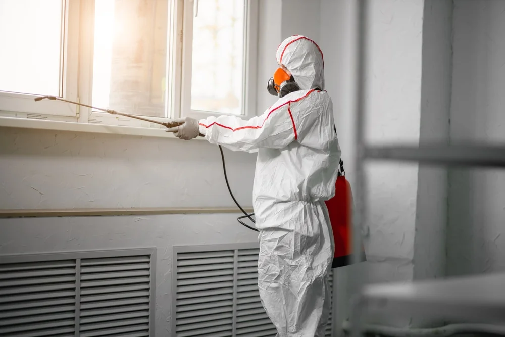 Professional mold remediation services in Alto, MI